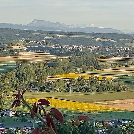 Vully-les-Lacs Swiss Borzoi House B&B 외부 사진