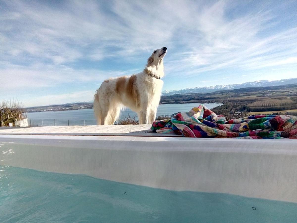 Vully-les-Lacs Swiss Borzoi House B&B 외부 사진