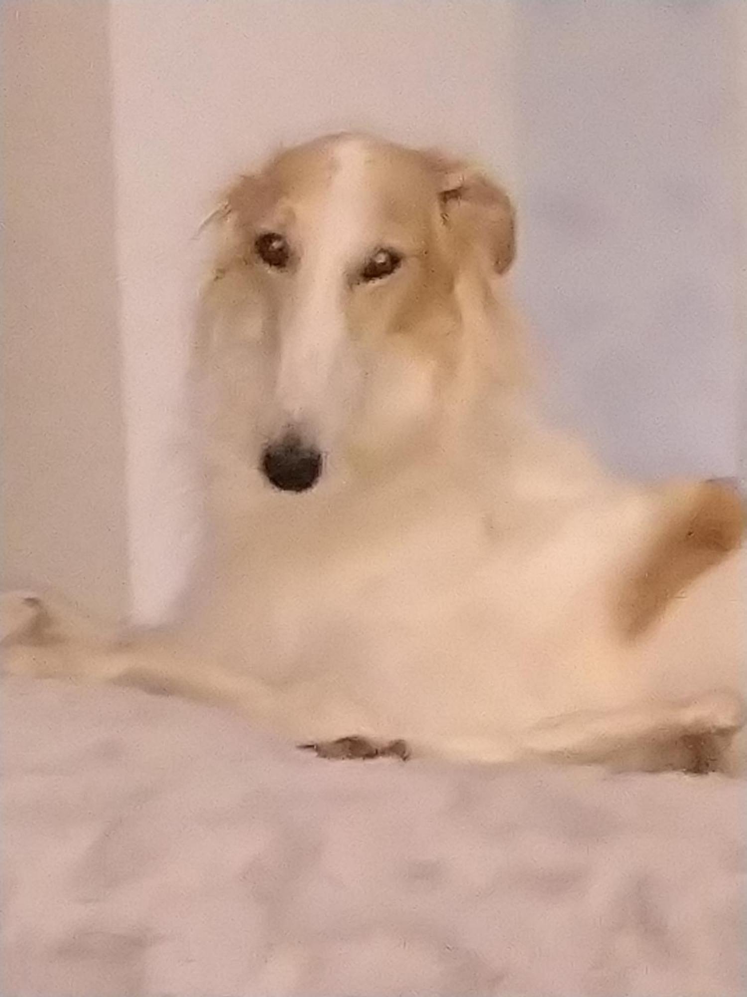 Vully-les-Lacs Swiss Borzoi House B&B 외부 사진