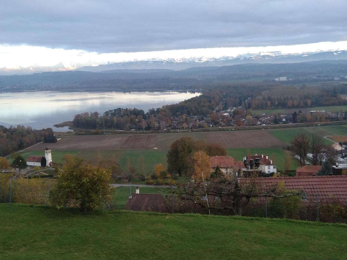 Vully-les-Lacs Swiss Borzoi House B&B 외부 사진