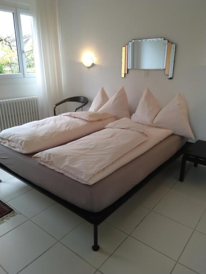 Vully-les-Lacs Swiss Borzoi House B&B 외부 사진
