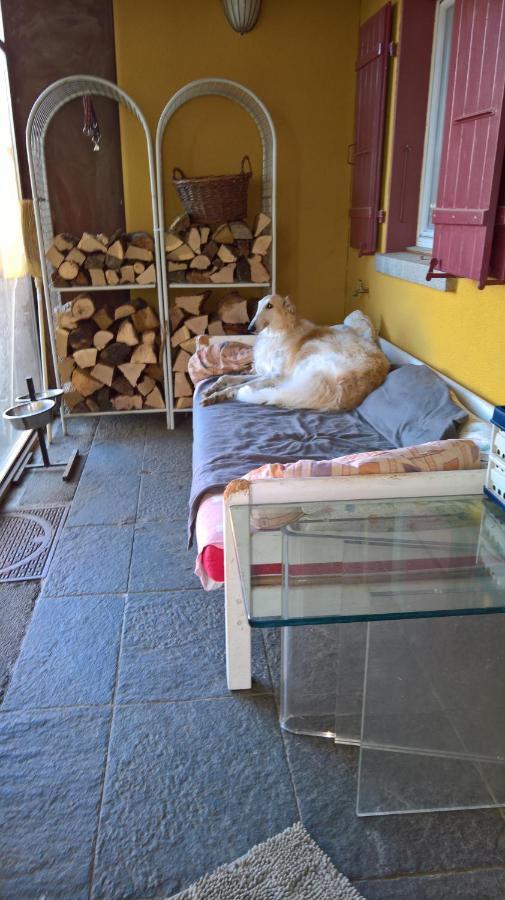 Vully-les-Lacs Swiss Borzoi House B&B 외부 사진