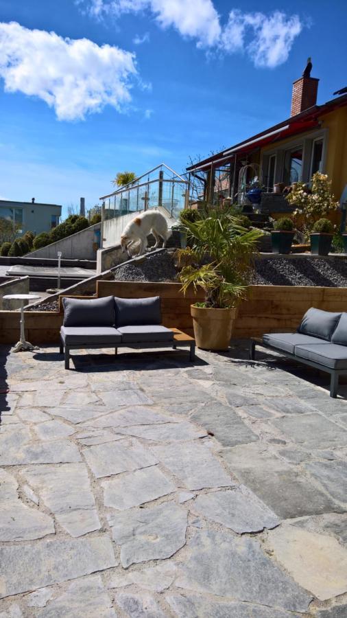 Vully-les-Lacs Swiss Borzoi House B&B 외부 사진