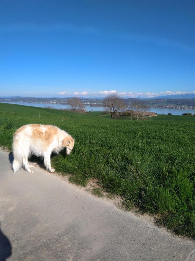 Vully-les-Lacs Swiss Borzoi House B&B 외부 사진