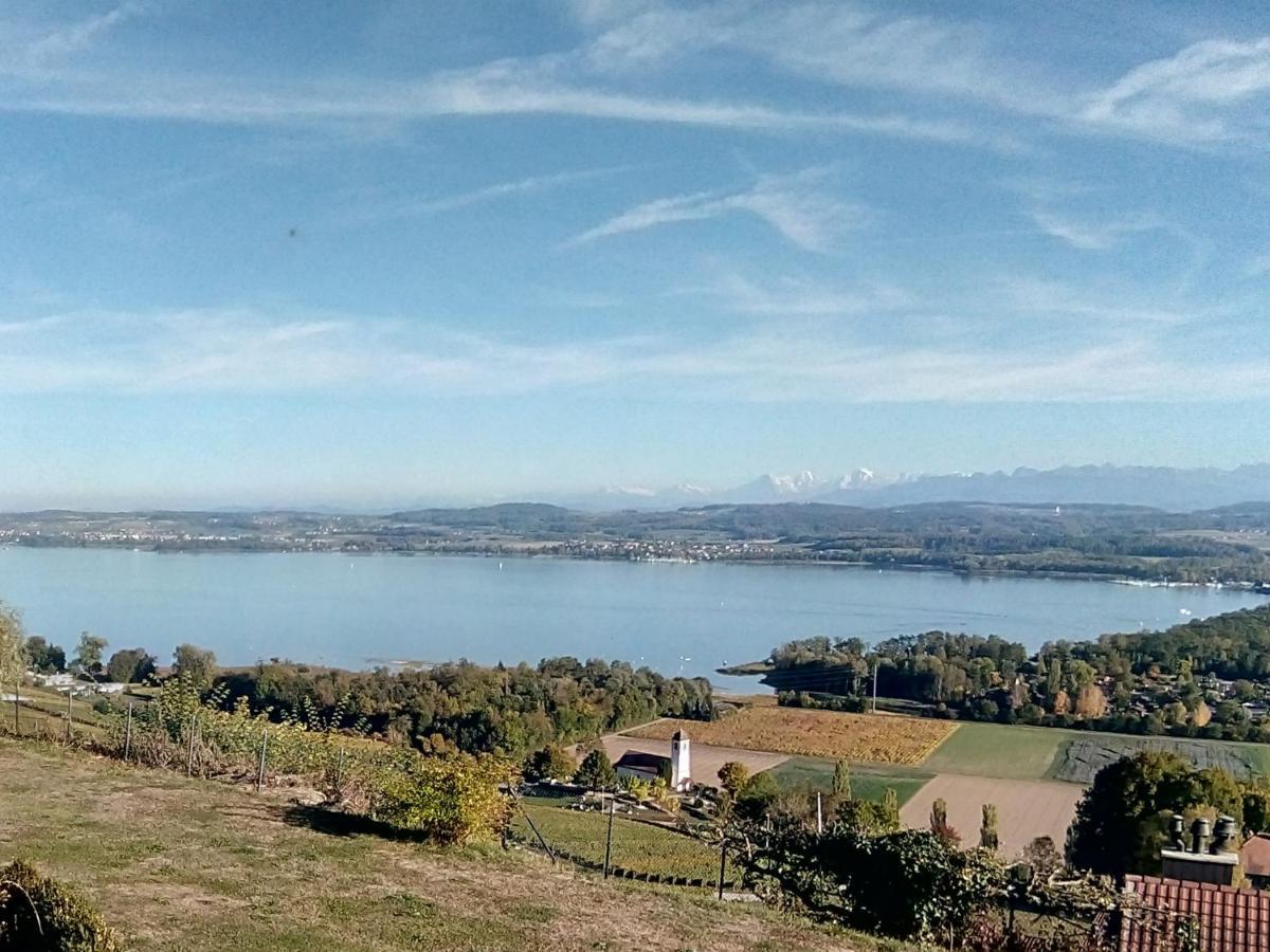 Vully-les-Lacs Swiss Borzoi House B&B 외부 사진