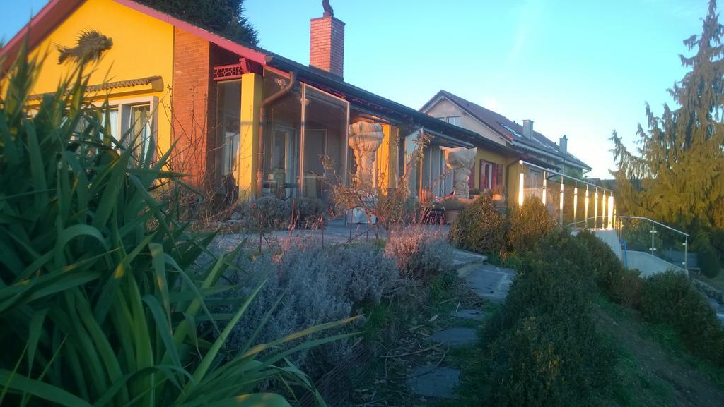 Vully-les-Lacs Swiss Borzoi House B&B 객실 사진