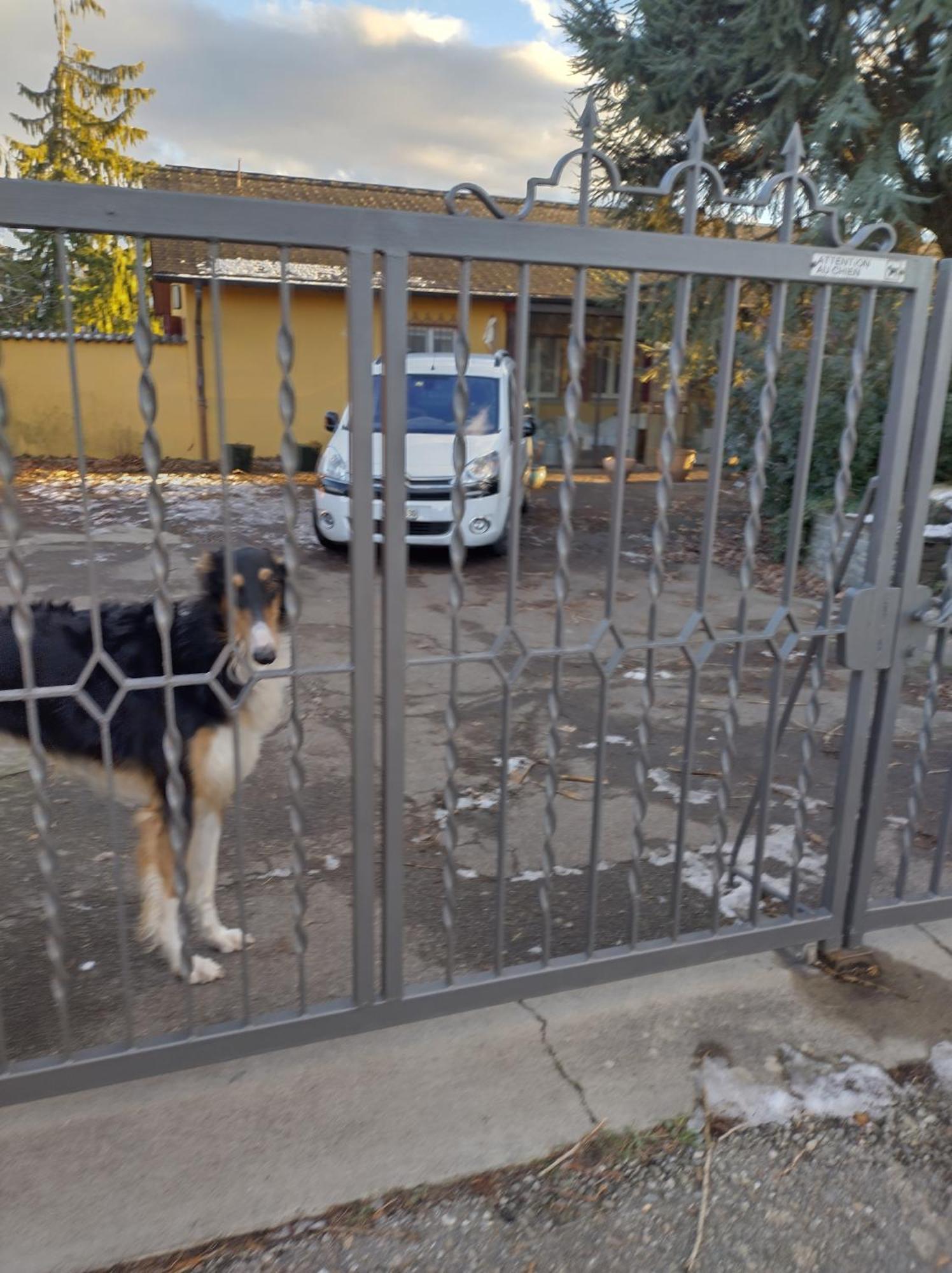 Vully-les-Lacs Swiss Borzoi House B&B 외부 사진