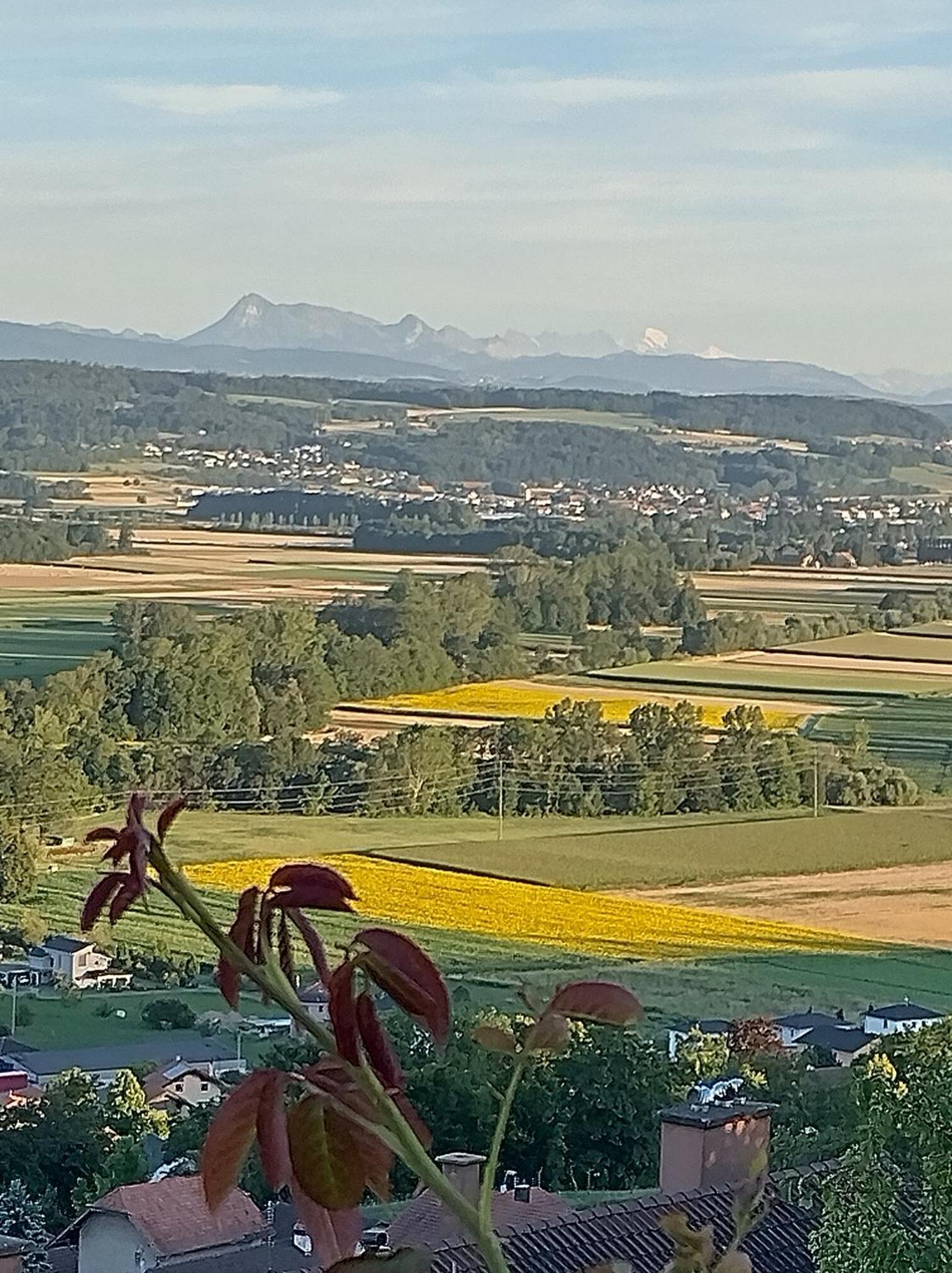 Vully-les-Lacs Swiss Borzoi House B&B 외부 사진