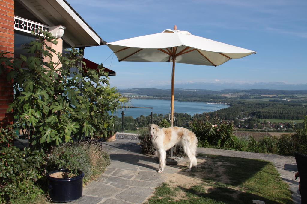Vully-les-Lacs Swiss Borzoi House B&B 객실 사진