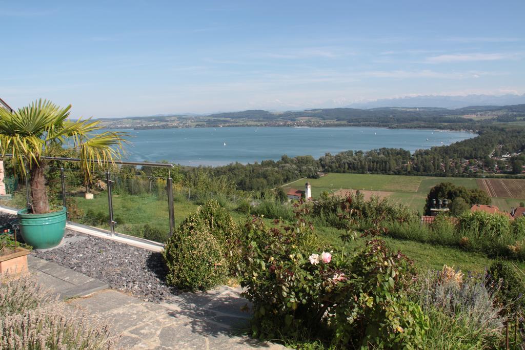 Vully-les-Lacs Swiss Borzoi House B&B 객실 사진