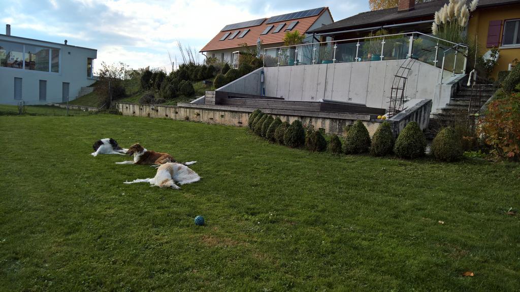 Vully-les-Lacs Swiss Borzoi House B&B 외부 사진