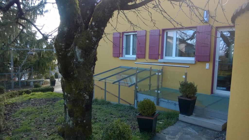 Vully-les-Lacs Swiss Borzoi House B&B 외부 사진
