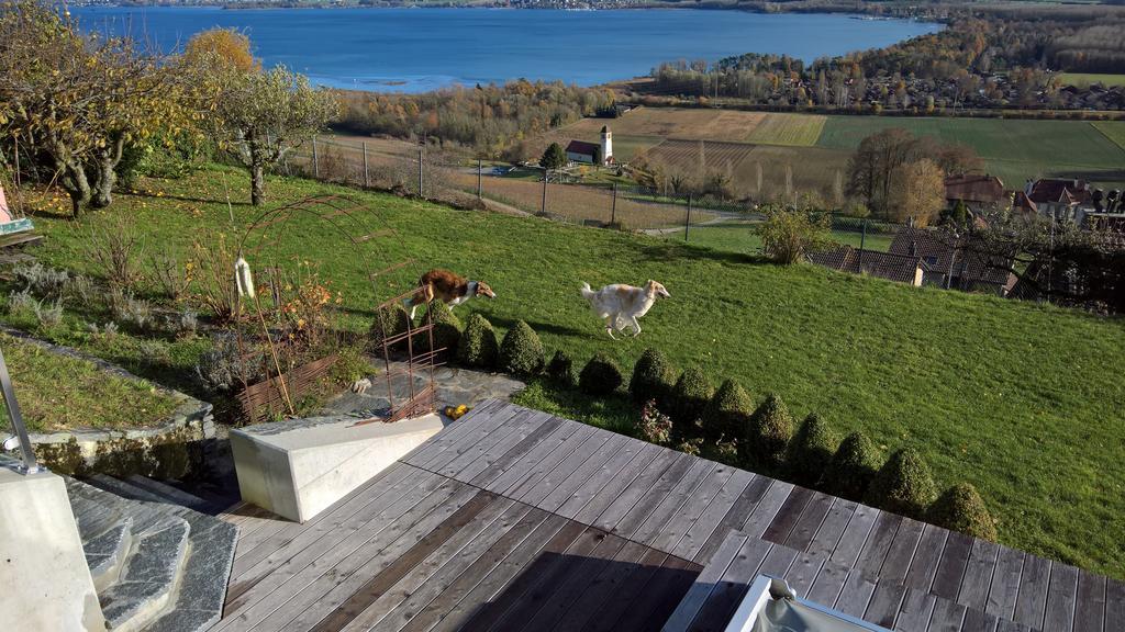 Vully-les-Lacs Swiss Borzoi House B&B 외부 사진