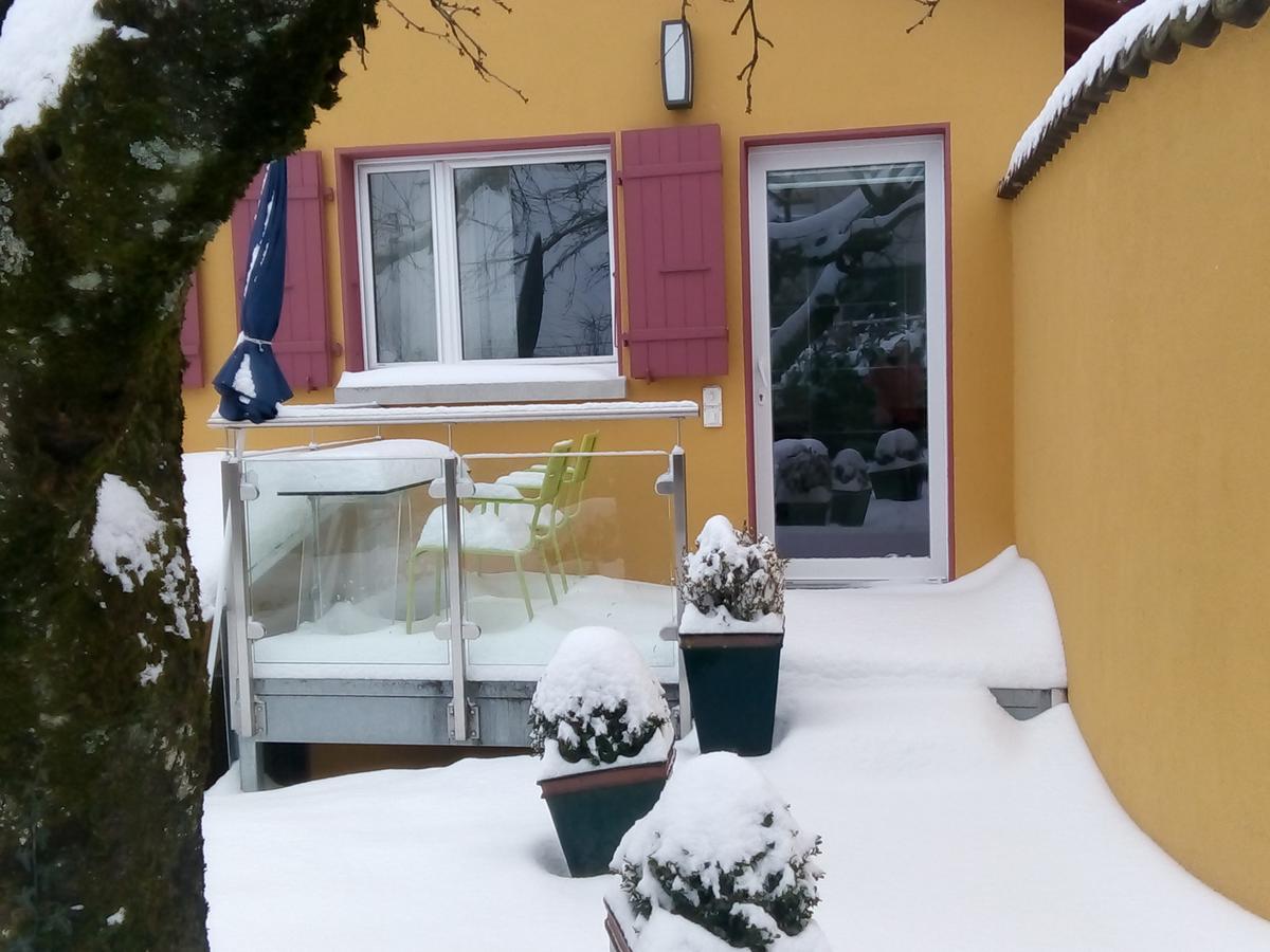 Vully-les-Lacs Swiss Borzoi House B&B 외부 사진