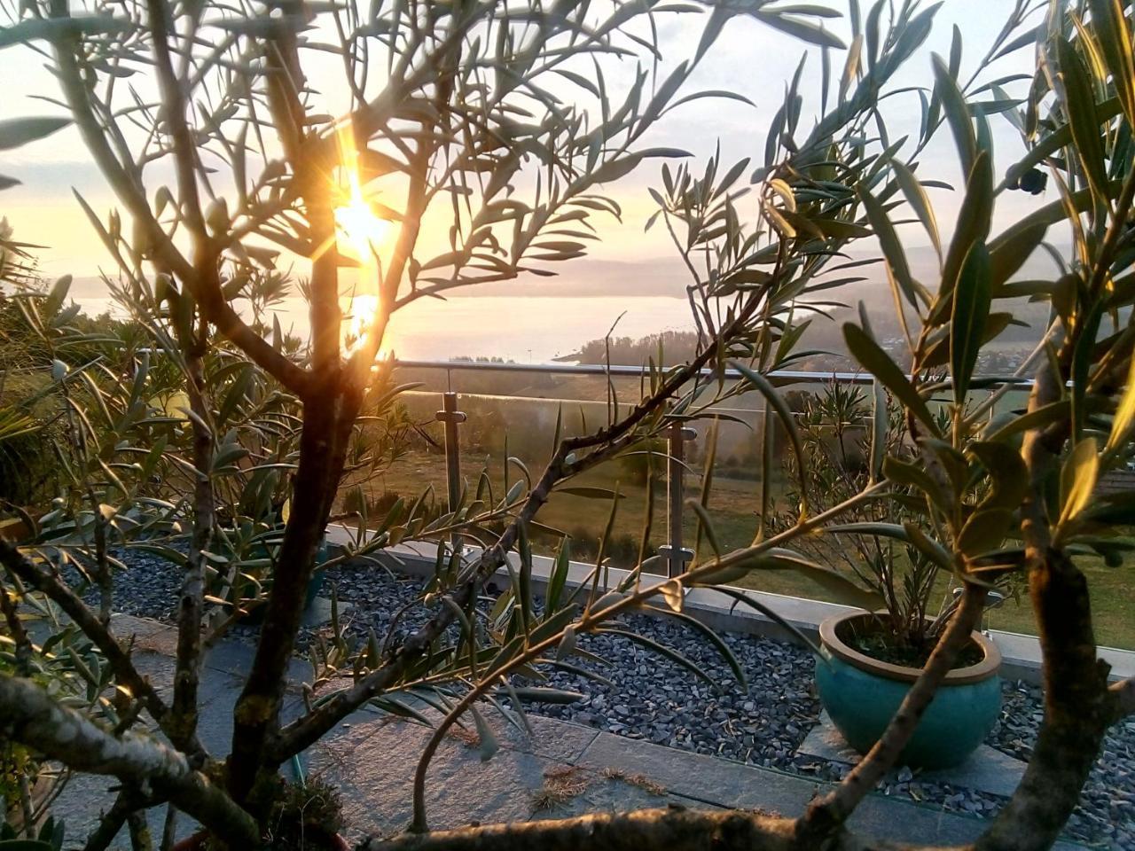 Vully-les-Lacs Swiss Borzoi House B&B 외부 사진