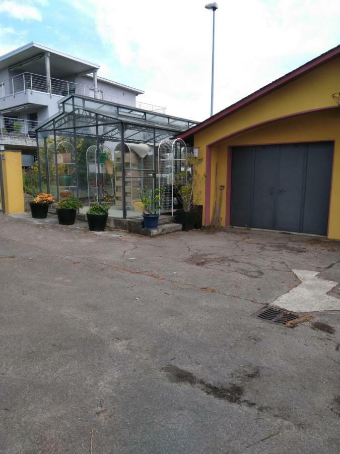 Vully-les-Lacs Swiss Borzoi House B&B 외부 사진