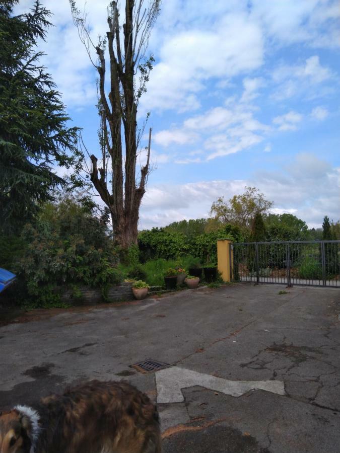 Vully-les-Lacs Swiss Borzoi House B&B 외부 사진